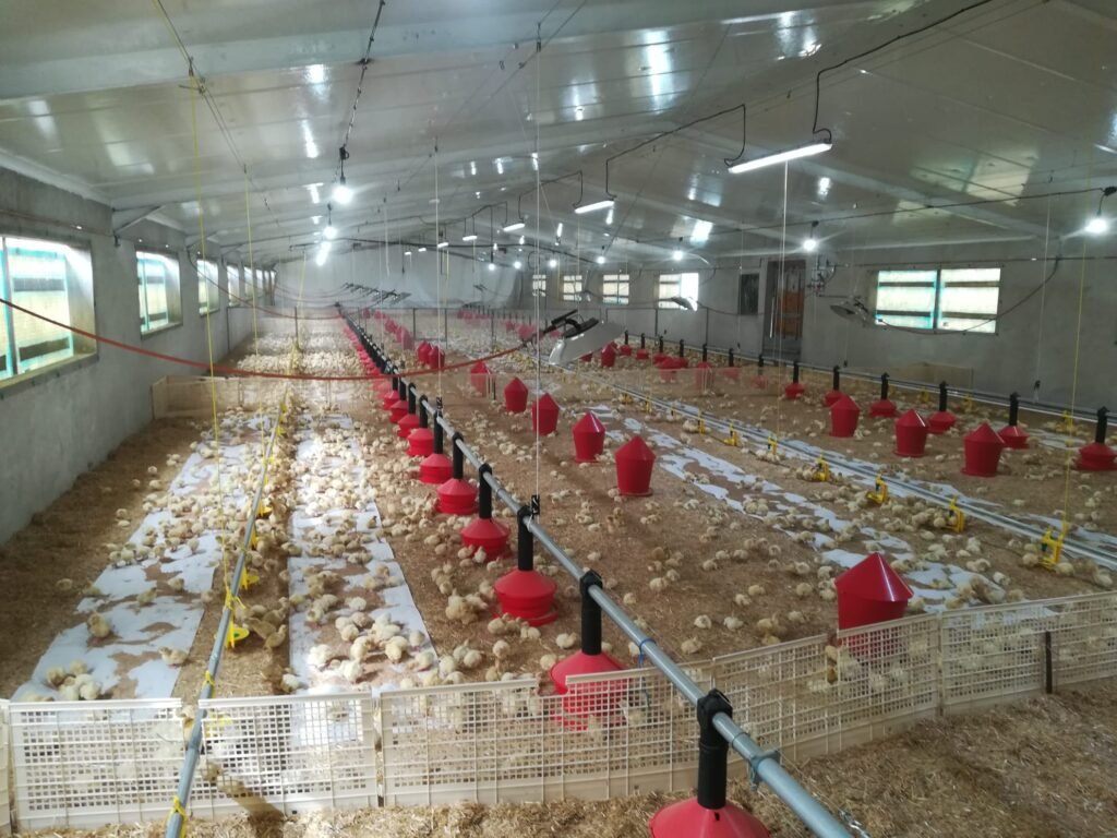 instalaciones eléctricas